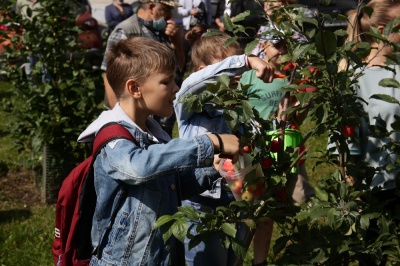В Калининском районе жители вырастили яблоневый сад прямо во дворе девятиэтажки