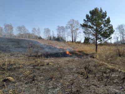 Правила пожарной безопасности в лесах в пожароопасный период
