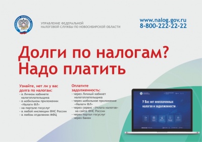 Как проверить долги по налогам: рекомендации УФНС России по Новосибирской области