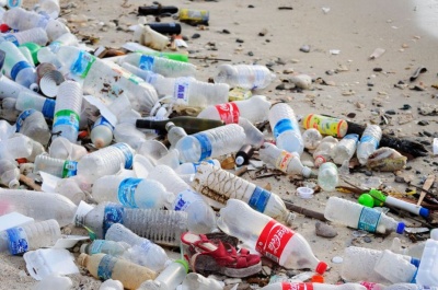 Девиз Всемирного дня прав потребителей в 2021 году «Борьба с загрязнением пластиковыми материалами» 