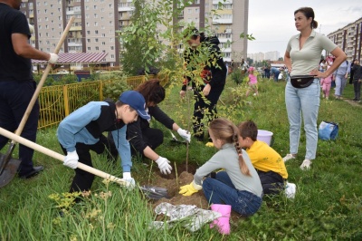В Калининском районе жители высадили зелёную аллею