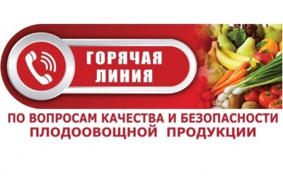 Горячая линия со 2 по 13 августа