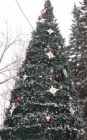 Открытие главной новогодней елки Калининского района