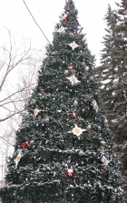 Открытие главной новогодней елки Калининского района