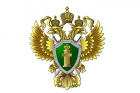 За убийство 9 лет лишения свободы