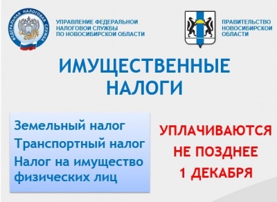 Имущественный налог нужно оплатить до 1 декабря