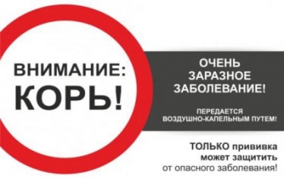 Подчищающую иммунизацию против кори проведут в Новосибирске