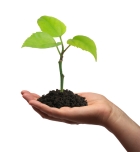 «Угроза ЧС ликвидирована»