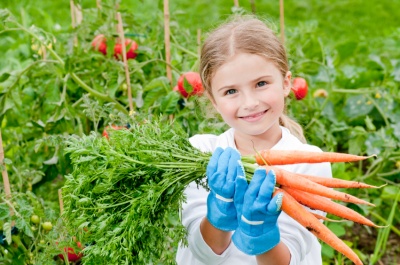 «Продажа сельскохозяйственной продукции» 