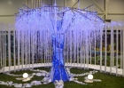 Победа в конкурсе ландшафтного дизайна