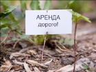 «Местный бюджет пополнился на 8 миллионов рублей»